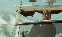 Vålnaden/Wallander